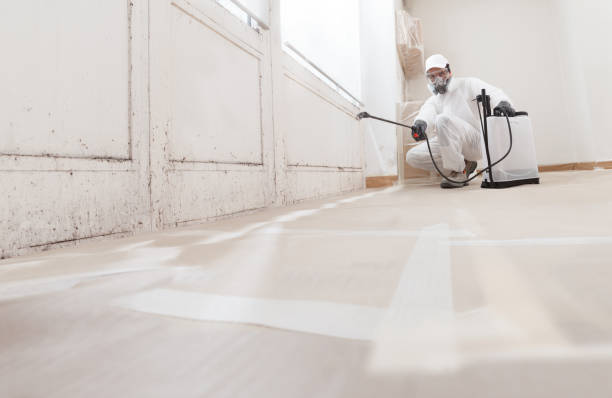 24/7 Emergency Mold Remediation experts in Gateway, FL