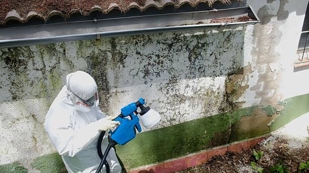 Top rated local Mold Remediation specialists in Gateway, FL